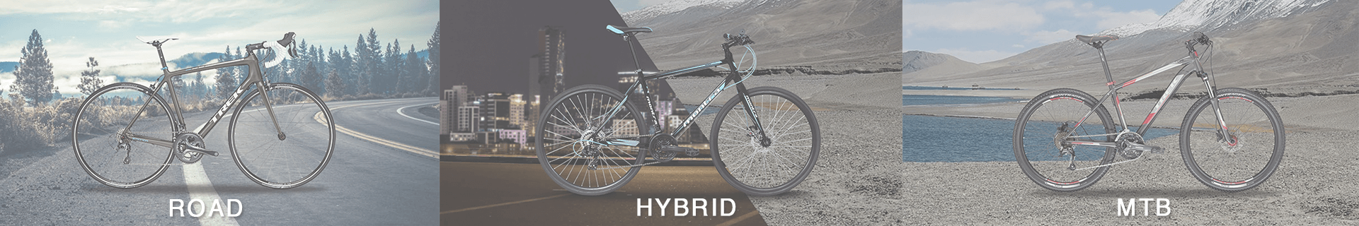 Cycles