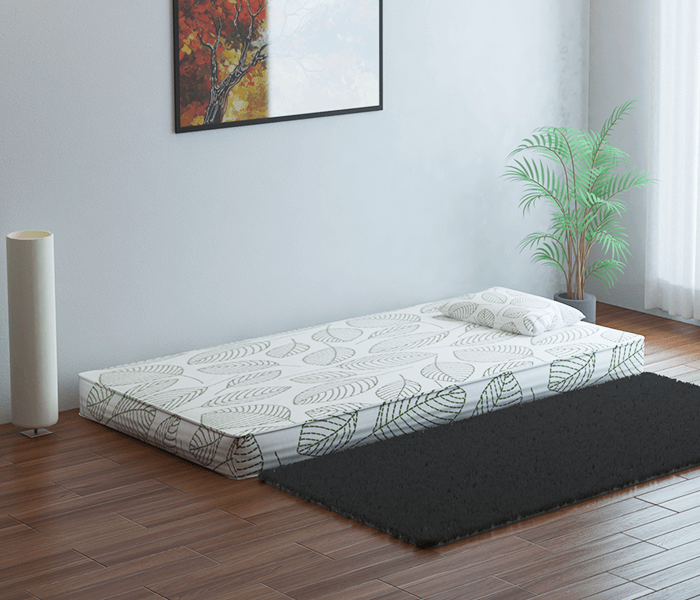 Single Mattress 6x3